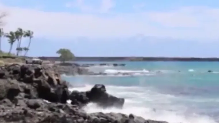 Incident na jednom od najljep&scaron;ih otoka na svijetu: morski pas ubio ženu