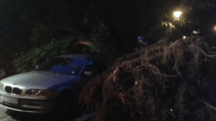 Posljedica nevremena u Zagrebu? Stablo se sru&scaron;ilo na BMW