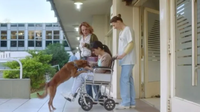 Vjerni pas čekao vlasnika ispred bolnice, no dočekao ga je u jednom drugom obliku!