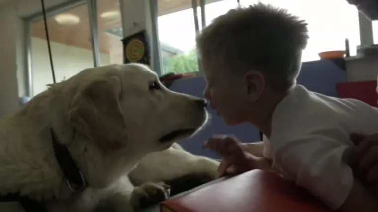 O&scaron;tre sankcije za one koji osobama sa psom pomagačem budu branili kretanje na javnim mjestima