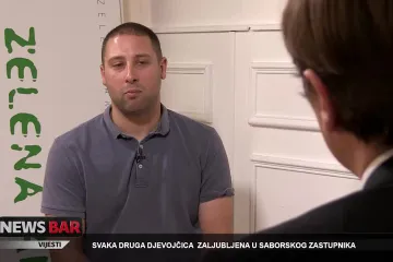 Referendum o referendumu i Zelena akcija