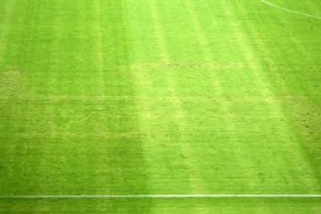 "Nijedan službenik nije osumnjičen"