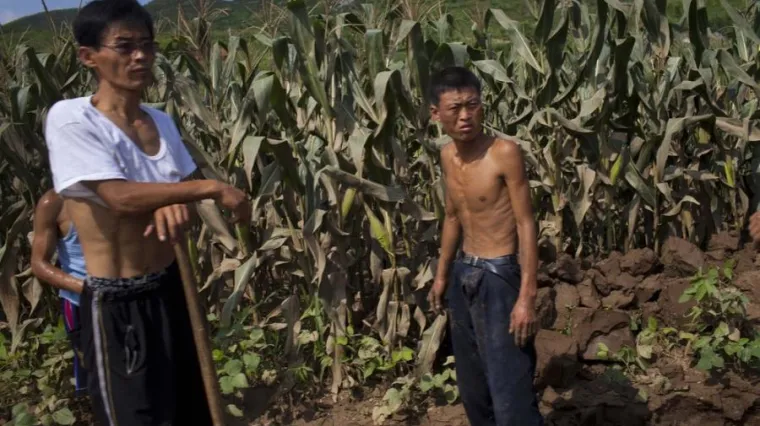 Sjeverna Koreja pogođena najtežom su&scaron;om u posljednjih stotinu godina