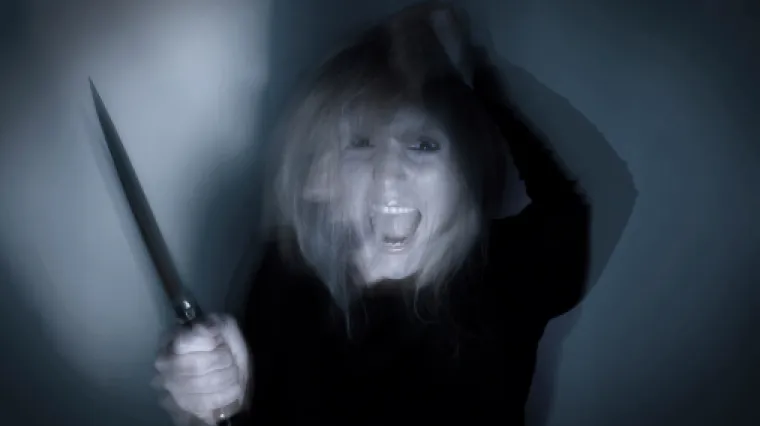 Obiteljska drama u Poreču: nožem napala vlastitu sestru u invalidskim kolicima!