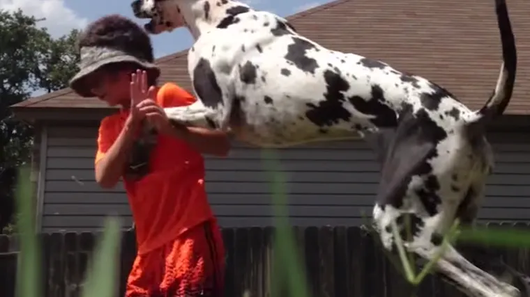 Osvetile im se za silno navlačenje