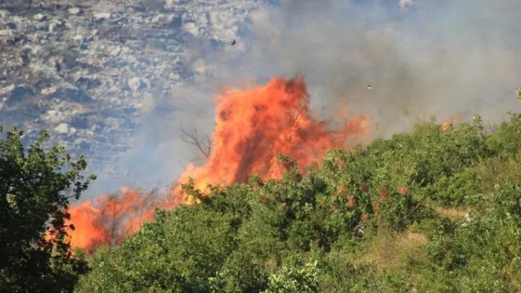 Na teren iza&scaron;lo 10 vatrogasaca, izgorio jedan hektar raslinja