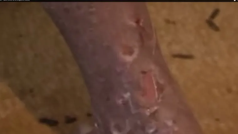 Ovo je pet najopasnijih umjetnih droga