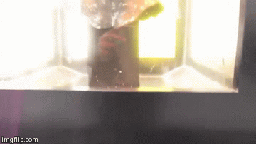 Usudite li se pogledati ga u oči? Oni su bili hrabri, pogledajte što ih je snašlo