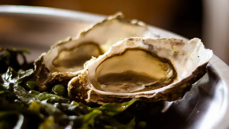 5 namirnica koje stručnjaci za kontrolu hrane NIKADA ne bi okusili