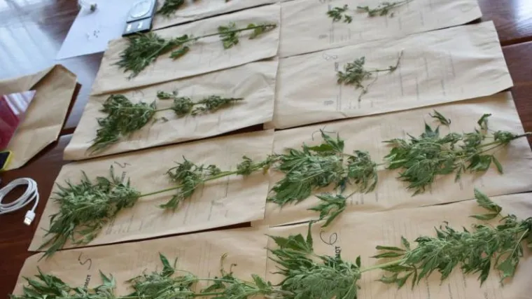 Policija na A1 zaustavila auto i na&scaron;la 6 kilograma 'trave'