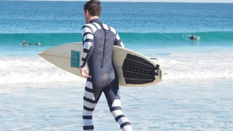 Zebrama protiv napada morskih pasa