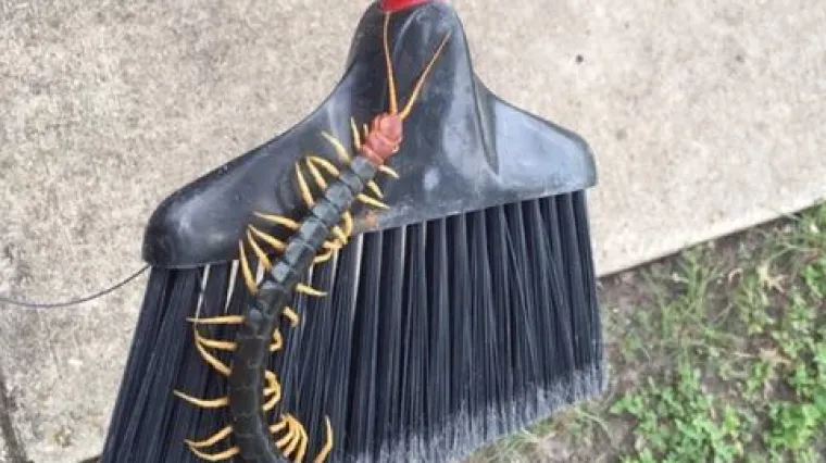 Ovo je najjezivija stvar koju ćete danas vidjeti