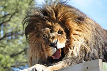 Od svih prirodnih ljepota, netko je uslikao baš njihove glupave face... i hvala mu na tome!