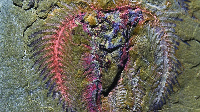 Zbog ovog će morati ponovo pisati povijest