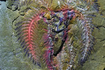 Zbog ovog će morati ponovo pisati povijest