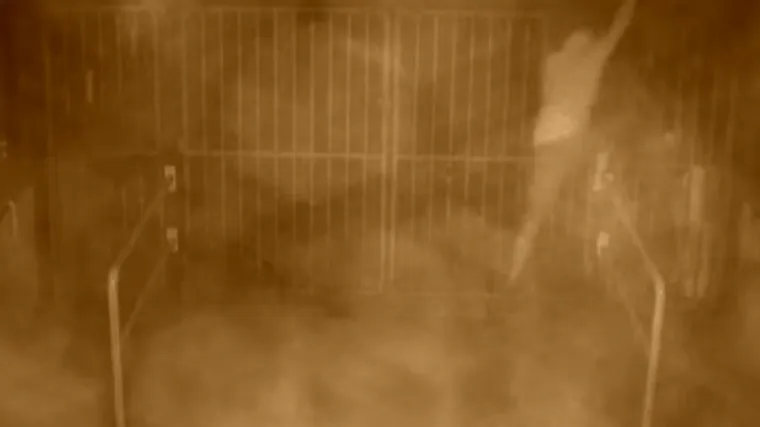 Objavljena snimka s Poljuda: Prepoznajete li osobe koje su iscrtale svastiku?