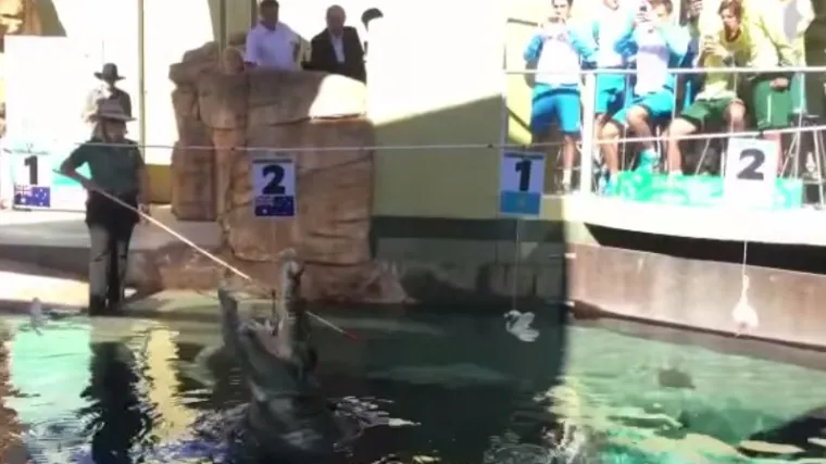 Krokodil Dundee glavna zvijezda: ovo je najluđi ždrijeb u povijesti Davis Cupa