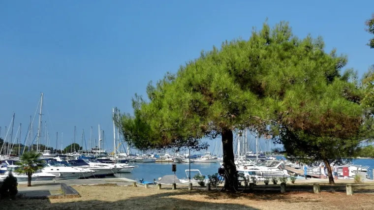 Zagrepčanka se utopila u moru u Istri, građani primijetili kako tijelo ženske osobe pluta u plićaku