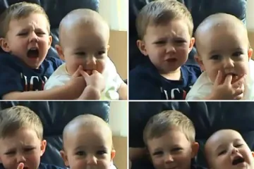 Evo kako ljudi zarađuju novac od viralnih videa