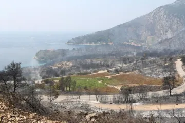 SPALJENA ZEMLJA: Stravični prizori s opusto&scaron;enog Pelje&scaron;ca