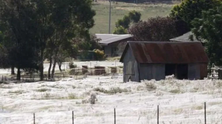 14 osoba poginulo, a strahuje se da je žrtava i vi&scaron;e