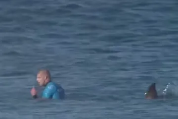 Znanstvenica objasnila kako je surfer izbjegao ugriz morskog psa