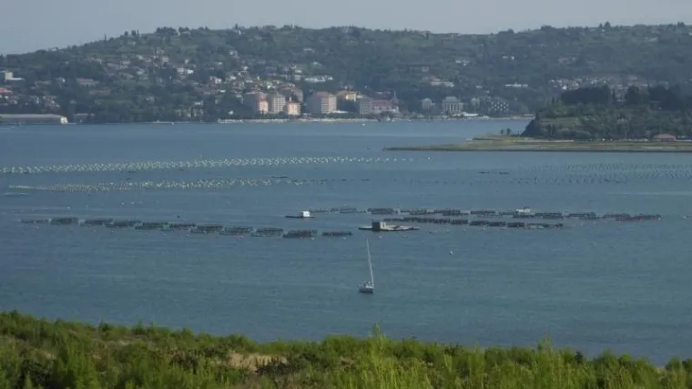 Slovensko ministarstvo službeno reagiralo na transkripite o arbitraži: 'To je hrvatska provokacija'