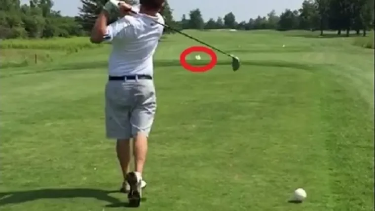 Očajnim udarcem usmrtio nesretnog galeba