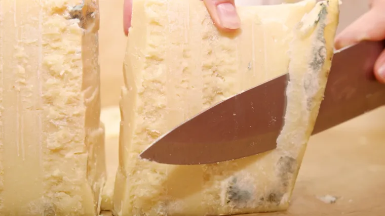 Mogu li jesti sir iako se na kori ulovila plijesan?