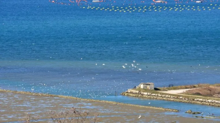 Neće komentirati rad arbitražnog vijeća u vezi Piranskog zaljeva