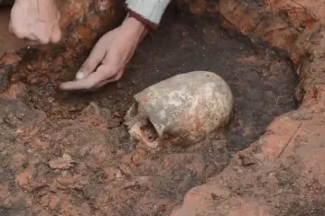 Vjeruju da se radi o izvanzemaljcu