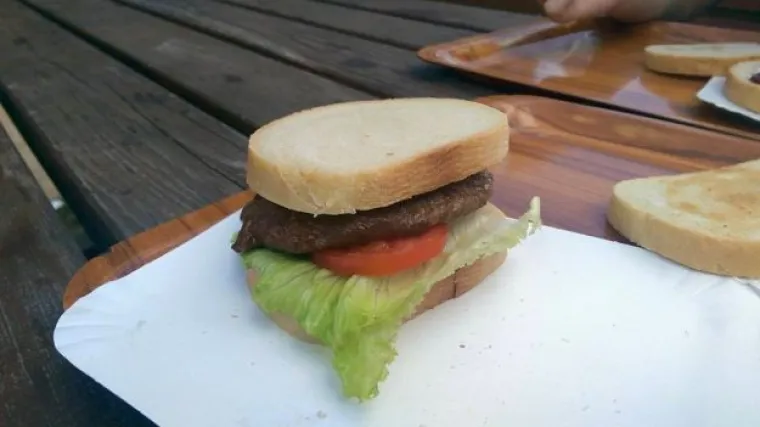 Plitvički hamburger - diletantsko izvlačenje iz lo&scaron;e situacije