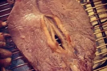 VAGINE U DIVLJINI! Pogledajte na kakve se sve prizore može naići u prirodi i društvu