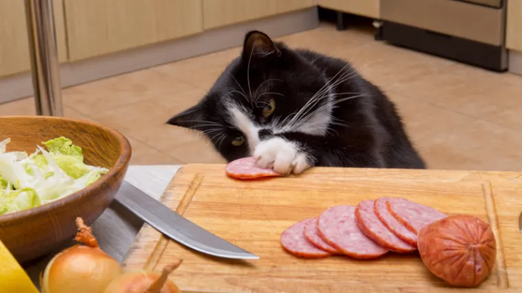 Pogodite za&scaron;to je jedan Britanac "gnjavio" policiju