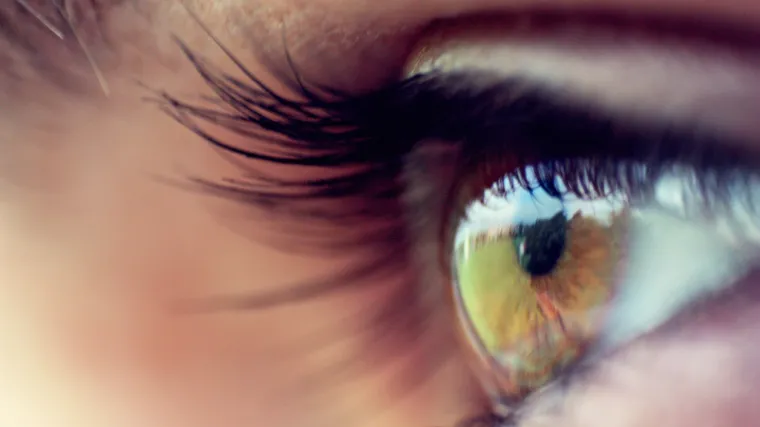 Protiv sive mrene kapljicama na bazi lanosterola