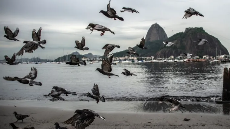 'Skoro sam povratio, smrdi kao septička jama'