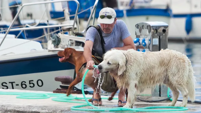 Ljeto nam se vraća, uo uo o
