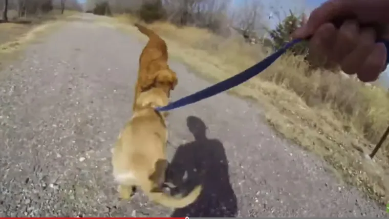 Odvojena dok je bila &scaron;tene, evo kako reagirala kad se srela s mamom