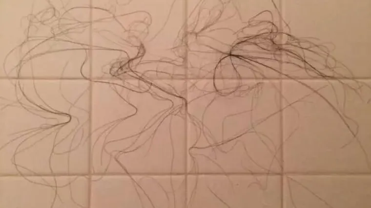 problema kojih su jako dobro svjesni svi oni s velikom 'grivom'