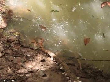 Tako mu i treba kada provocira anakondu! Što je mislio da će se dogoditi?!