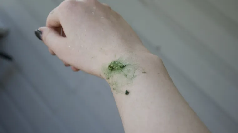 Biste li se mazali ribljom sluzi i algama?