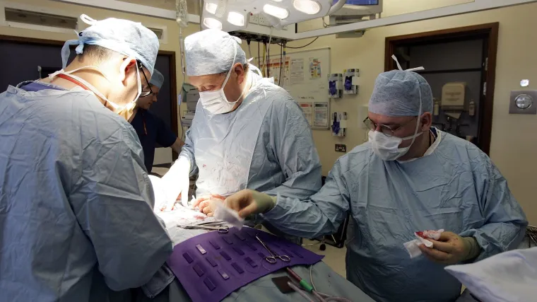 Transplantirani bolesnici uzimaju lijekove za životinje