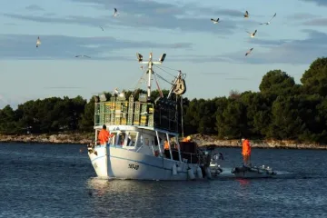 Dvojica mladića osmislila novu ponudu za turiste, posao cvjeta