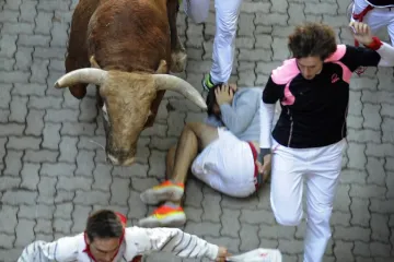 Bik prišao mladiću s leđa i rogovima mu probio vrat