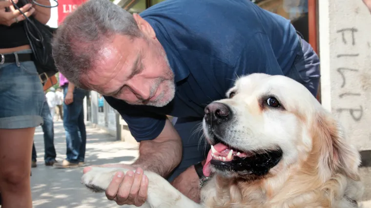 &Scaron;etnja psa bez uzice može vas stajati i do tisuću kuna, no za prvog ljubimca Zagreba vrijede druga pravila