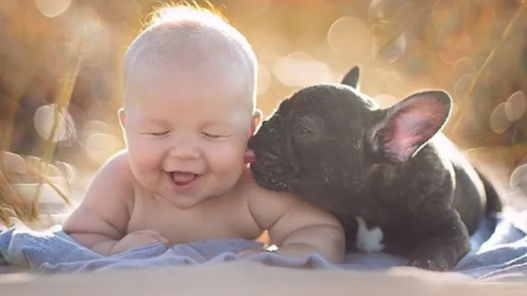 Rođeni na isti dan, beba Dilan i pas prijateljstvo su sklopili jo&scaron; u pelenama