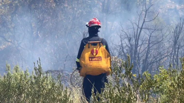 Požar u Istri zahvatio 50 hektara niskog raslinja, na terenu sedam vatrogasnih vozila i dva kanadera
