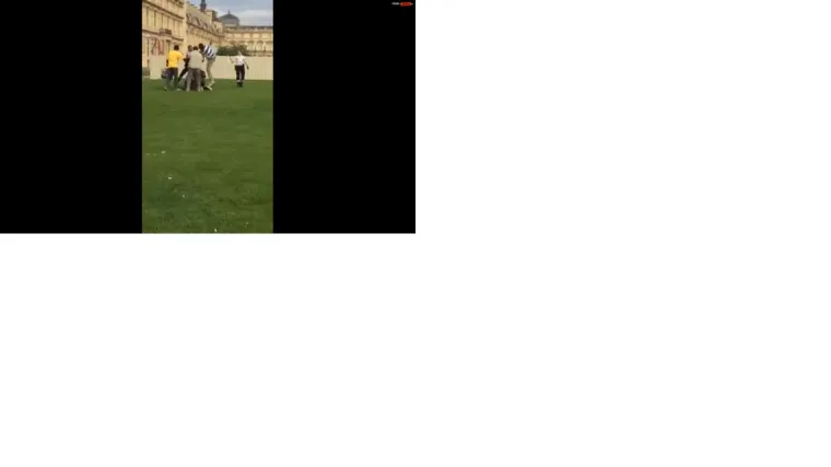 Ulični prodavači usred Pariza pretukli policajce koji su im htjeli oduzeti robu