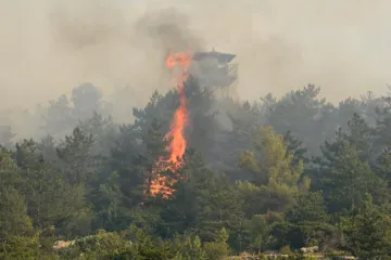 VATRA KRAJ DRNIŠA: Udar groma uzrokovao veliki požar