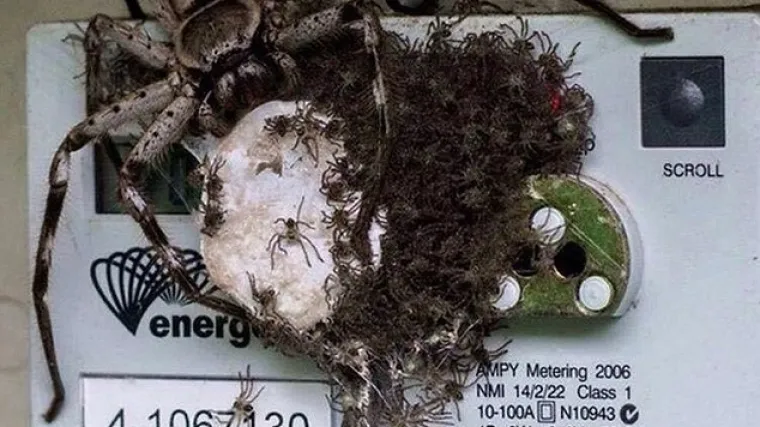 Prizor zbog kojeg je već pola interneta uprljalo gaće, a uskoro ćete i vi